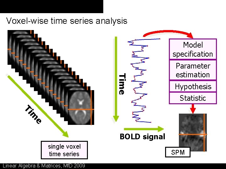 Voxel-wise time series analysis Model specification Time Parameter estimation Hypothesis Statistic e m Ti