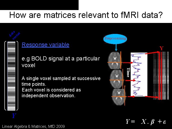 da ve ta ct or How are matrices relevant to f. MRI data? Response