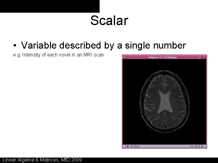 Scalar • Variable described by a single number e. g. Intensity of each voxel