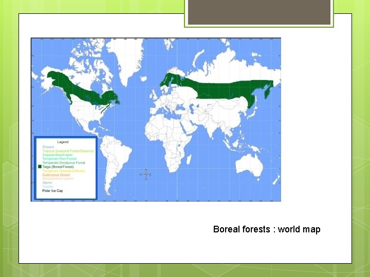 Boreal forests : world map 