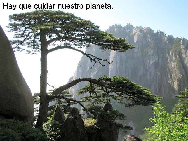 Hay que cuidar nuestro planeta. 