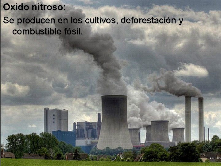 Oxido nitroso: Se producen en los cultivos, deforestación y combustible fósil. 