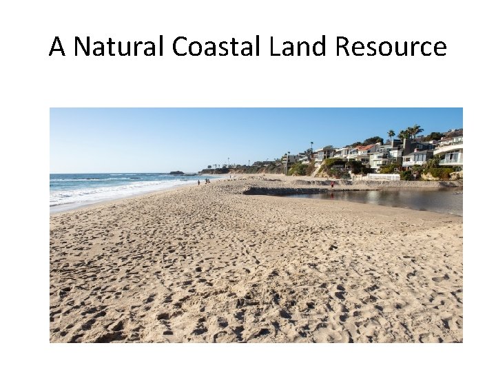 A Natural Coastal Land Resource 