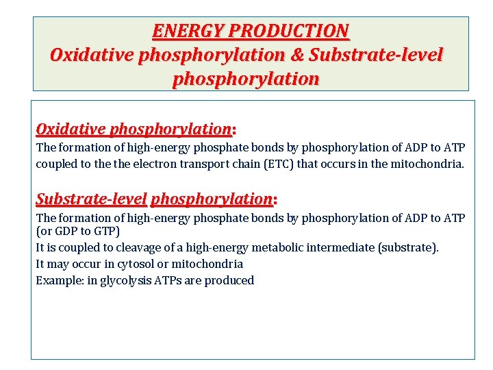 ENERGY PRODUCTION Oxidative phosphorylation & Substrate-level phosphorylation Oxidative phosphorylation: The formation of high-energy phosphate