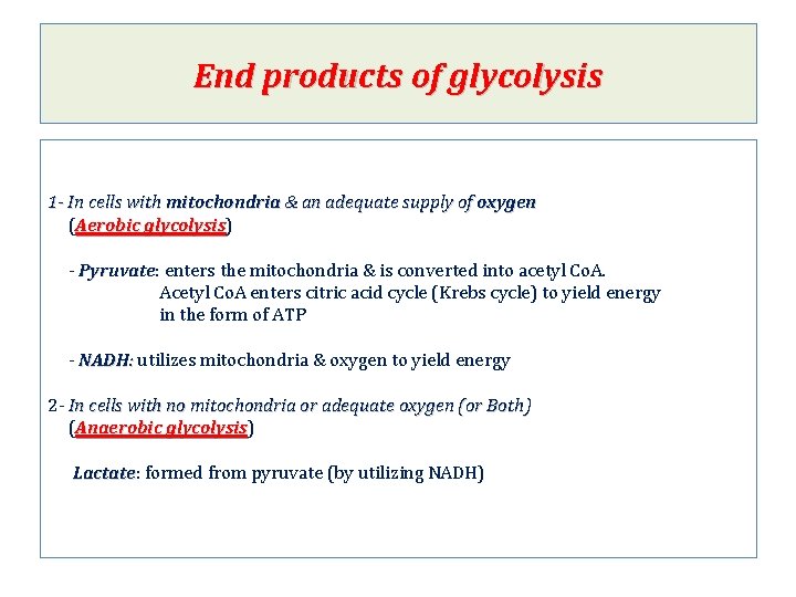 End products of glycolysis 1 - In cells with mitochondria & an adequate supply