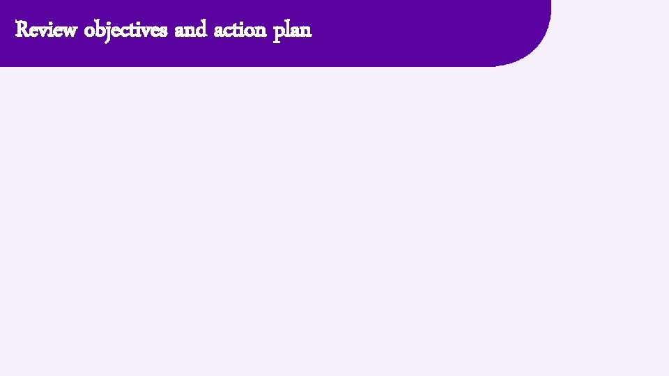 Review objectives and action plan 