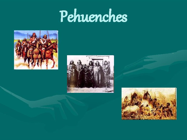 Pehuenches 