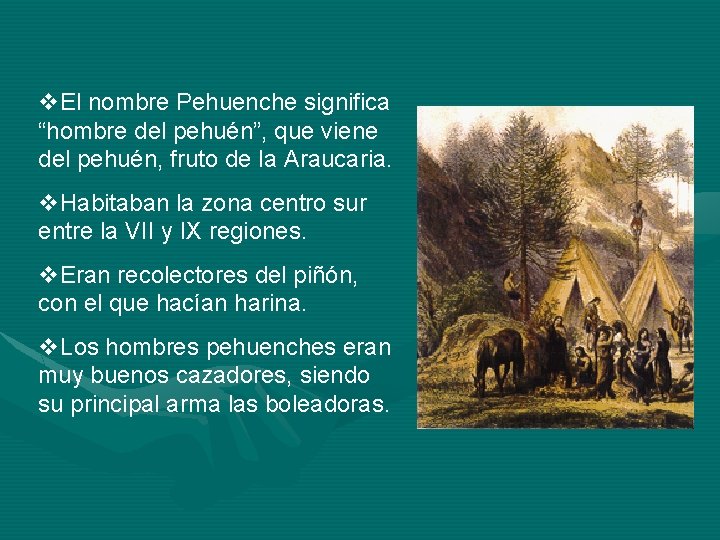 v. El nombre Pehuenche significa “hombre del pehuén”, que viene del pehuén, fruto de