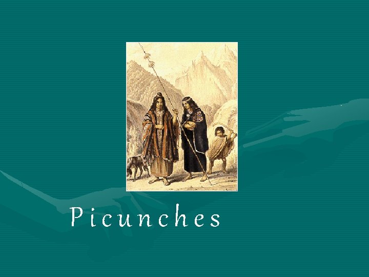 Picunches 
