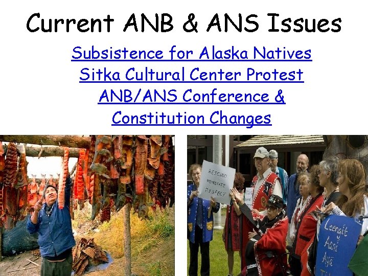 Current ANB & ANS Issues Subsistence for Alaska Natives Sitka Cultural Center Protest ANB/ANS