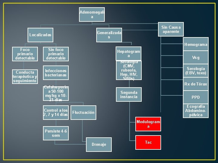 Adenomegali a Sin Causa aparente Generalizada s Localizadas Hemograma Foco primario detectable Sin foco