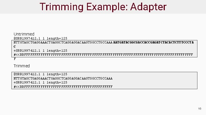 Trimming Example: Adapter Untrimmed @SRR 1997412. 1 1 length=125 NTTGTAGCTGAGGAAACTGAGGCTCAGGAGGACAAGTGGCCTGCCAAA AATGATACGGCGACCACCGAGATCTACACTCTTTCCCTA C +SRR 1997412.