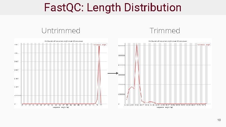 Fast. QC: Length Distribution Untrimmed Trimmed 18 