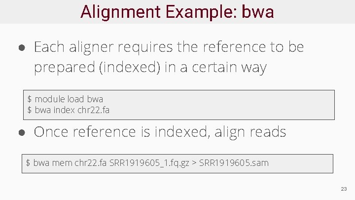 Alignment Example: bwa ● Each aligner requires the reference to be prepared (indexed) in