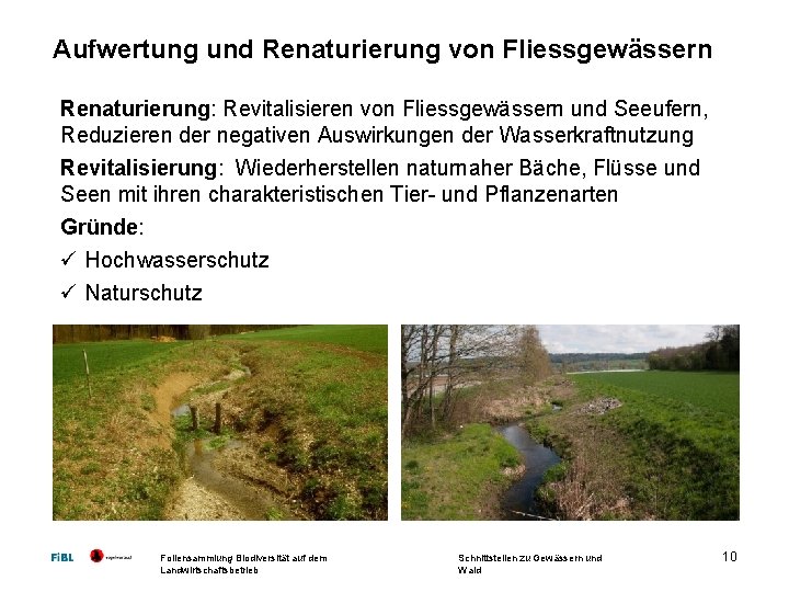 Aufwertung und Renaturierung von Fliessgewässern Renaturierung: Revitalisieren von Fliessgewässern und Seeufern, Reduzieren der negativen