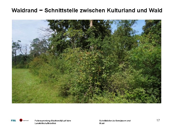 Waldrand − Schnittstelle zwischen Kulturland und Wald Foliensammlung Biodiversität auf dem Landwirtschaftsbetrieb Schnittstellen zu