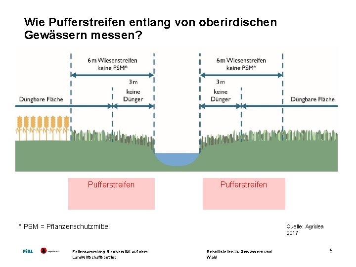 Wie Pufferstreifen entlang von oberirdischen Gewässern messen? Pufferstreifen * PSM = Pflanzenschutzmittel Foliensammlung Biodiversität