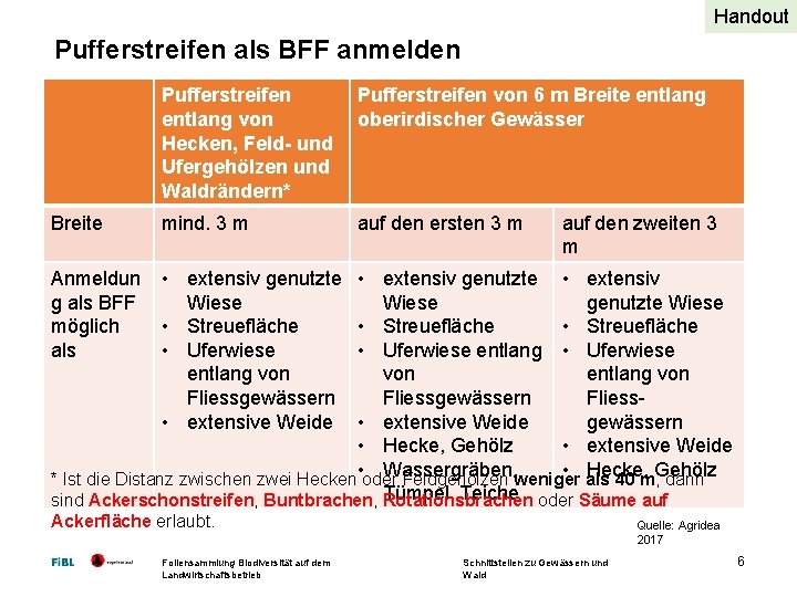 Handout Pufferstreifen als BFF anmelden Breite Pufferstreifen entlang von Hecken, Feld- und Ufergehölzen und