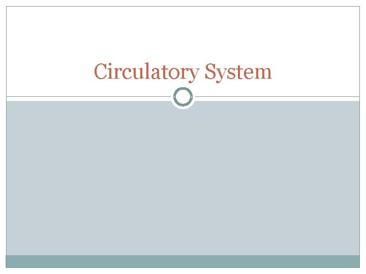 Circulatory System 
