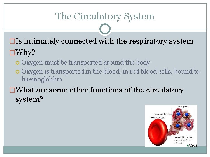 The Circulatory System �Is intimately connected with the respiratory system �Why? Oxygen must be
