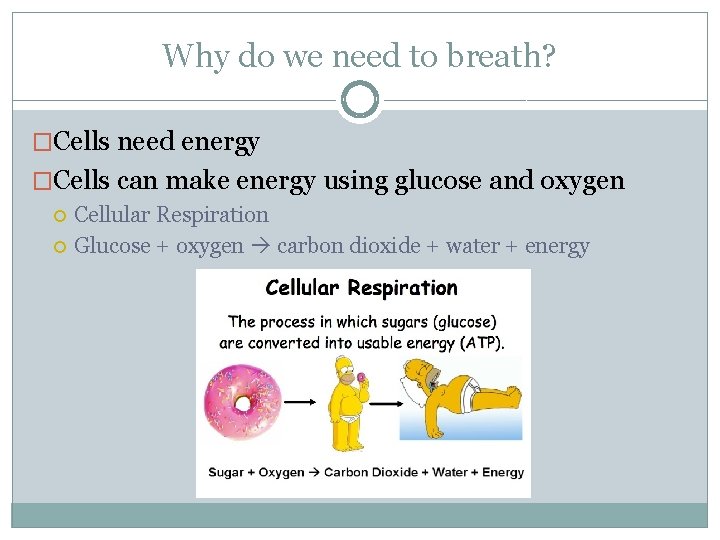 Why do we need to breath? �Cells need energy �Cells can make energy using