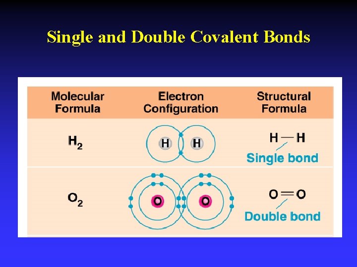 Single and Double Covalent Bonds 