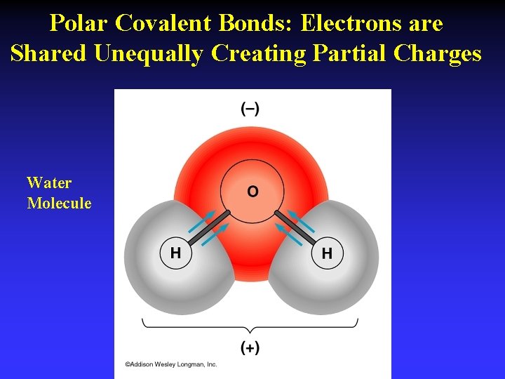 Polar Covalent Bonds: Electrons are Shared Unequally Creating Partial Charges Water Molecule 