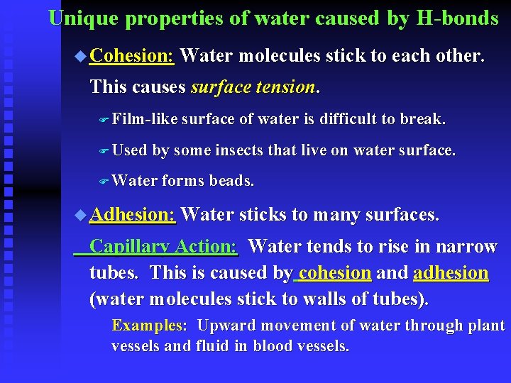 Unique properties of water caused by H-bonds u Cohesion: Water molecules stick to each