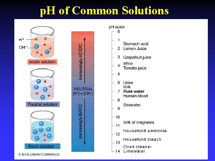 p. H of Common Solutions 