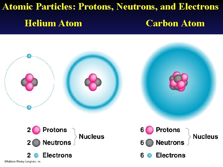 Atomic Particles: Protons, Neutrons, and Electrons Helium Atom Carbon Atom 