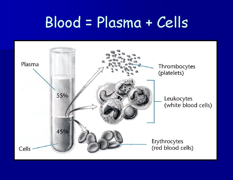 Blood = Plasma + Cells 