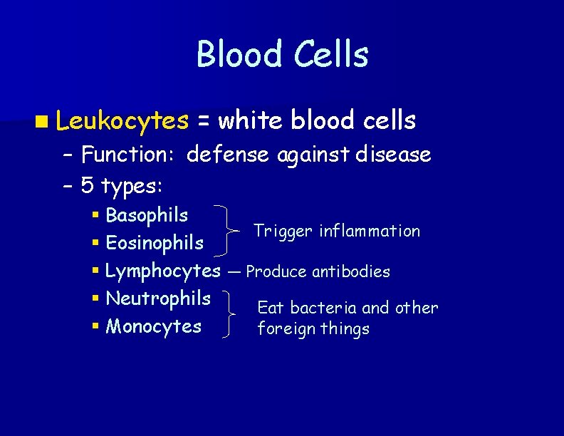 Blood Cells n Leukocytes – – = white blood cells Function: defense against disease