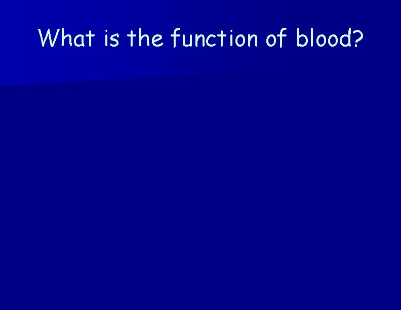 What is the function of blood? 