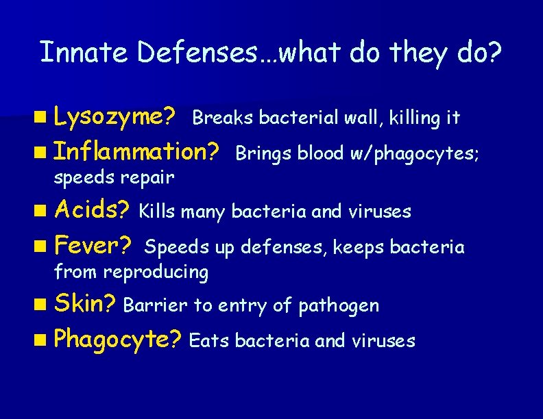 Innate Defenses…what do they do? n Lysozyme? Breaks bacterial wall, killing it n Inflammation?
