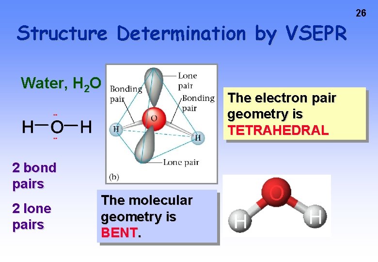 Structure Determination by VSEPR Water, H 2 O 2 bond pairs 2 lone pairs