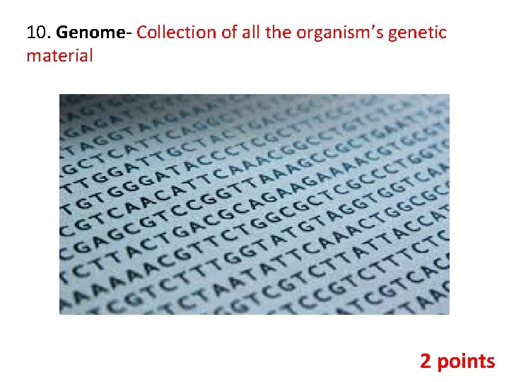 10. Genome- Collection of all the organism’s genetic material 2 points 
