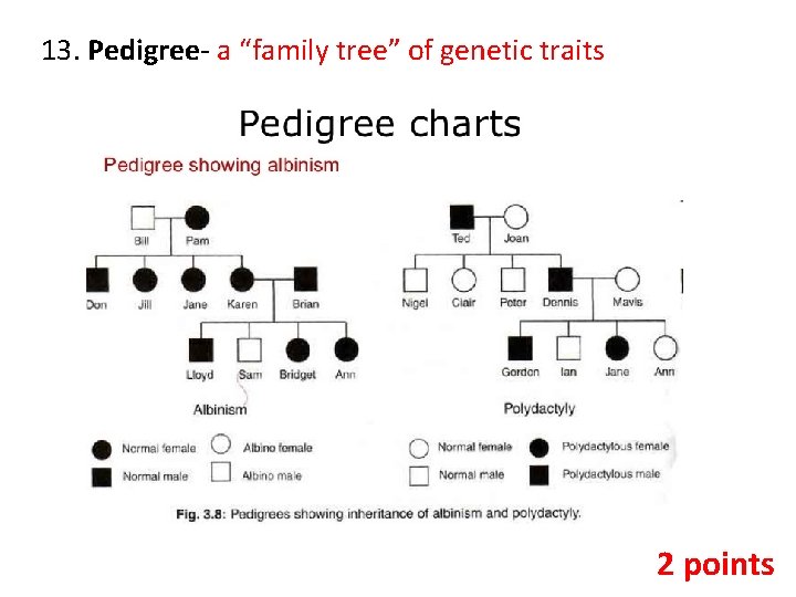 13. Pedigree- a “family tree” of genetic traits 2 points 
