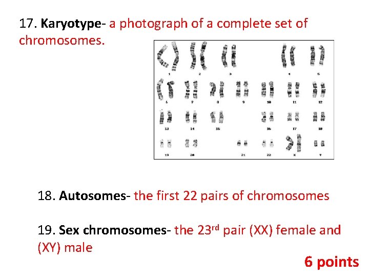 17. Karyotype- a photograph of a complete set of chromosomes. 18. Autosomes- the first