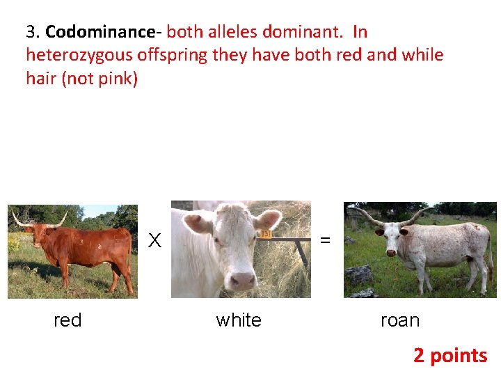 3. Codominance- both alleles dominant. In heterozygous offspring they have both red and while