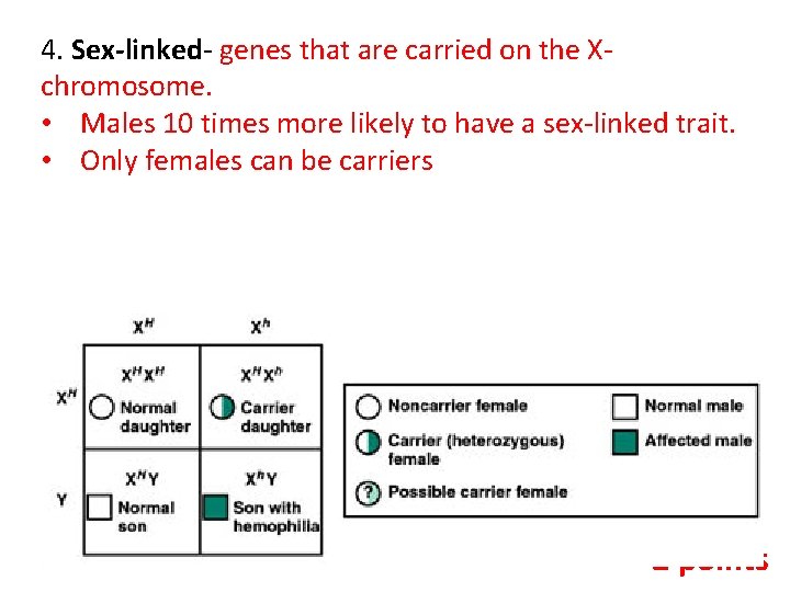 4. Sex-linked- genes that are carried on the Xchromosome. • Males 10 times more