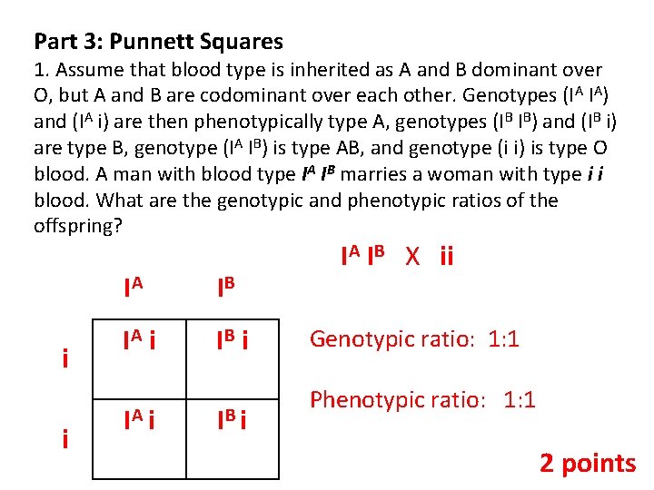 Part 3: Punnett Squares 1. Assume that blood type is inherited as A and