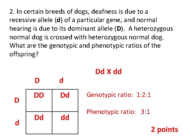 2. In certain breeds of dogs, deafness is due to a recessive allele (d)