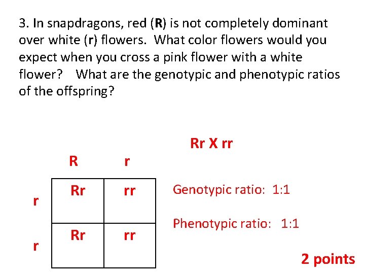 3. In snapdragons, red (R) is not completely dominant over white (r) flowers. What