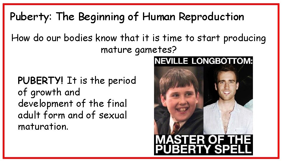 Puberty: The Beginning of Human Reproduction How do our bodies know that it is