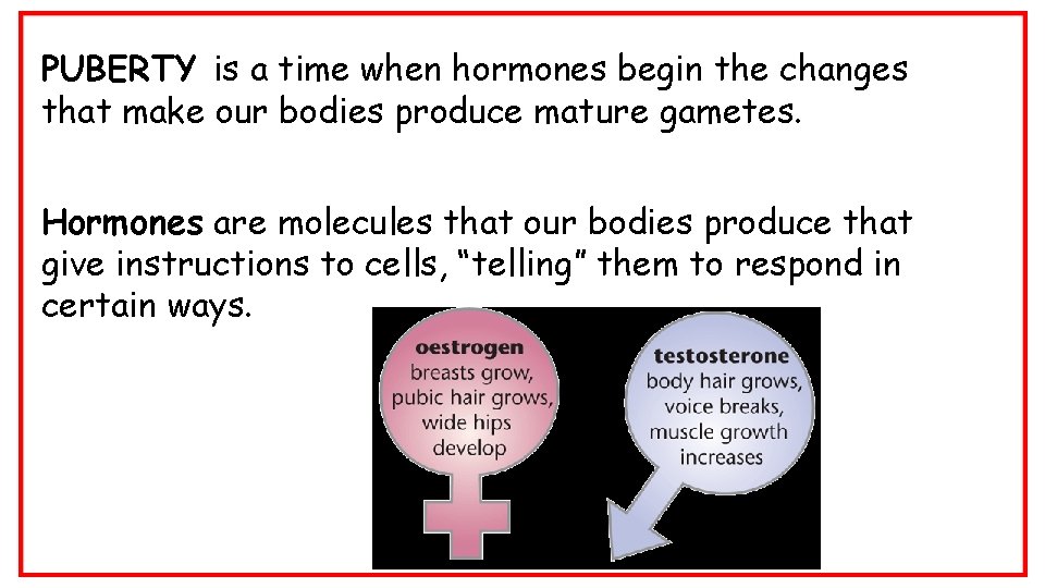 PUBERTY is a time when hormones begin the changes that make our bodies produce