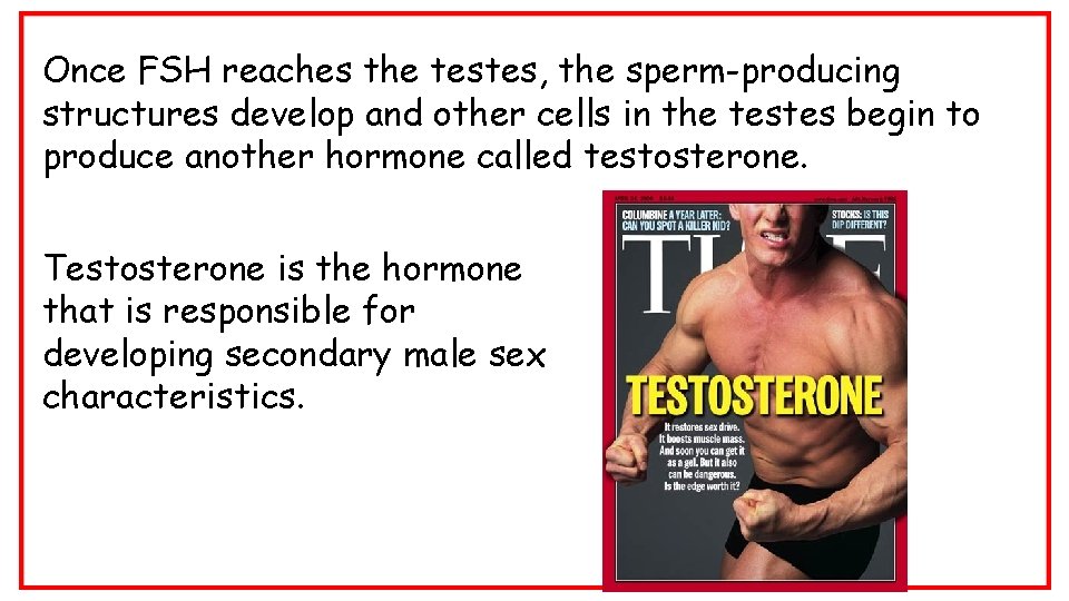 Once FSH reaches the testes, the sperm-producing structures develop and other cells in the