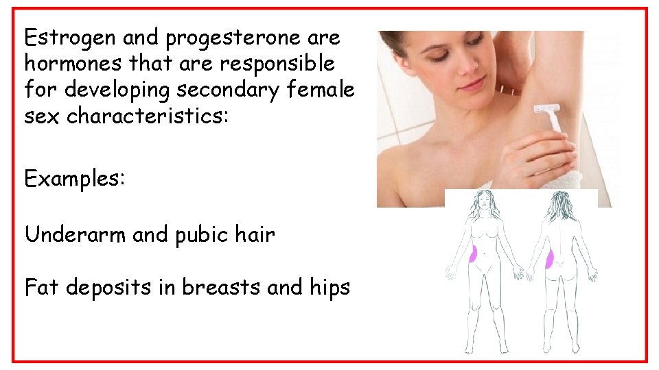 Estrogen and progesterone are hormones that are responsible for developing secondary female sex characteristics: