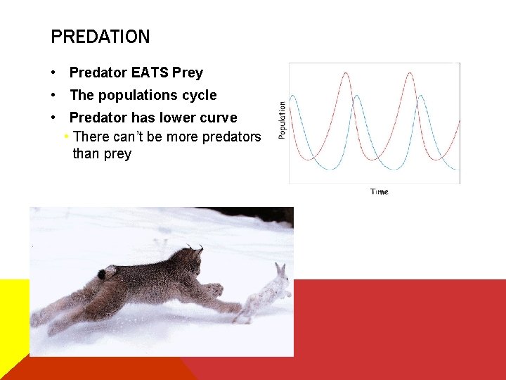 PREDATION • Predator EATS Prey • The populations cycle • Predator has lower curve