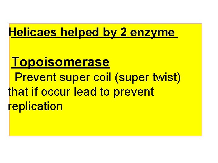 Helicaes helped by 2 enzyme Topoisomerase Prevent super coil (super twist) that if occur