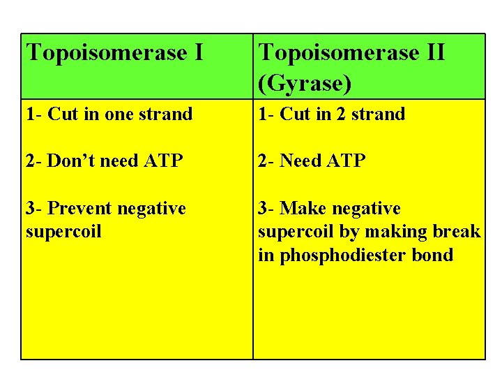 Topoisomerase II (Gyrase) 1 - Cut in one strand 1 - Cut in 2
